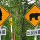 Illustration for article titled Sadly, Japan Doesnt Have Horror Themed Road Signs